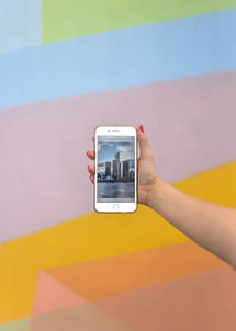iPhone 17国行版售价公布，最贵17999元，法律视角下的消费者权益保护
